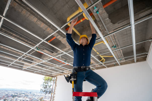 Best Local Plumber Services  in Ladysmith, WI
