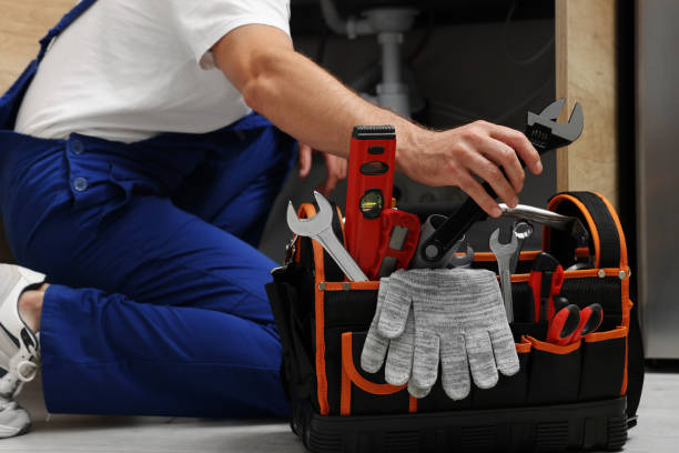 Best Plumbing Inspection Services  in Ladysmith, WI