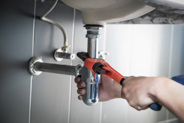Best Sprinkler Systems  in Ladysmith, WI